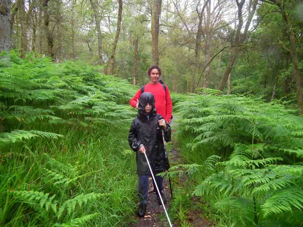 Ethan and Daniel Kish, 2014. Learning to navigate in the rain.